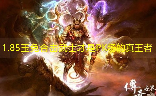 1.85玉兔合击武士才是PK场的真王者