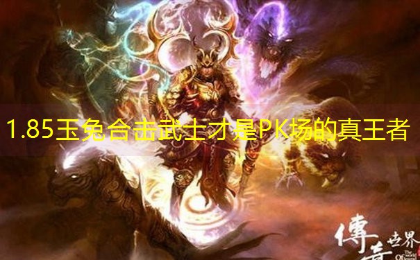 1.85玉兔合击武士才是PK场的真王者