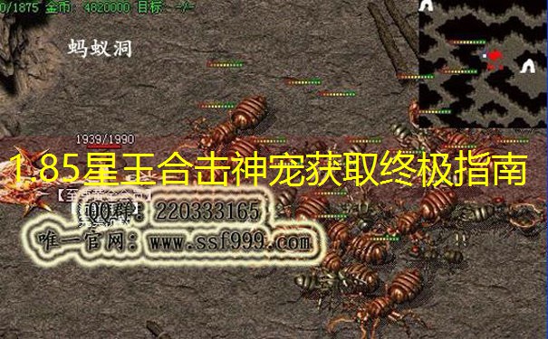 1.85星王合击神宠获取终极指南