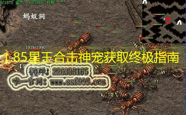 1.85星王合击神宠获取终极指南