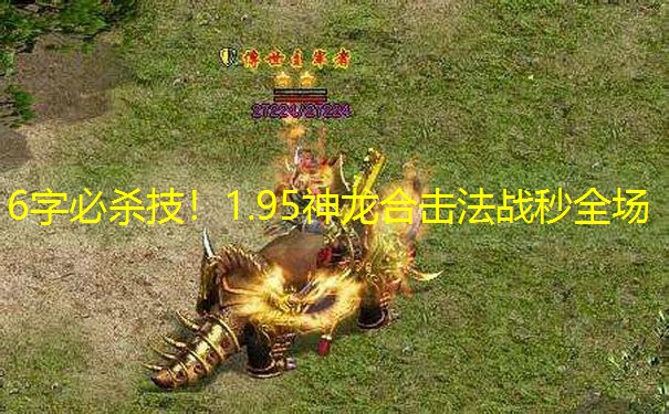 6字必杀技！1.95神龙合击法战秒全场