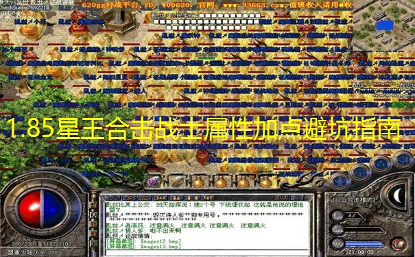 1.85星王合击战士属性加点避坑指南