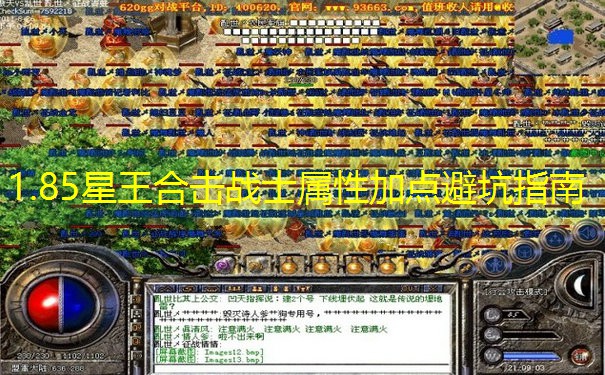 1.85星王合击战士属性加点避坑指南