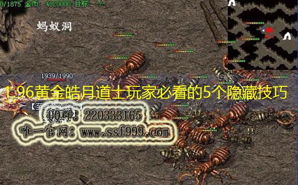 1.96黄金皓月道士玩家必看的5个隐藏技巧