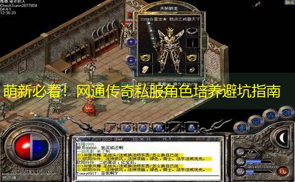 萌新必看！网通传奇私服角色培养避坑指南