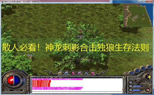 散人必看！神龙刺影合击独狼生存法则