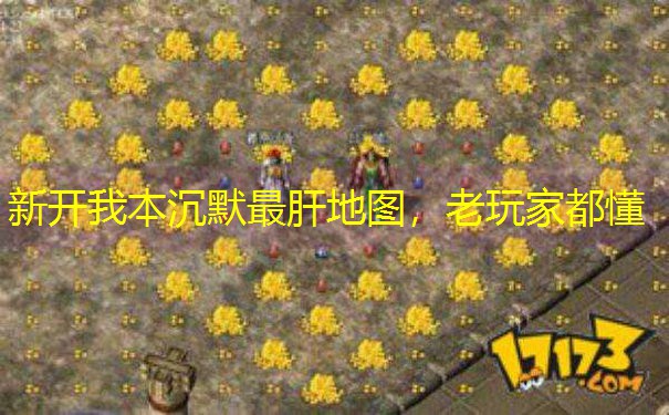新开我本沉默最肝地图，老玩家都懂