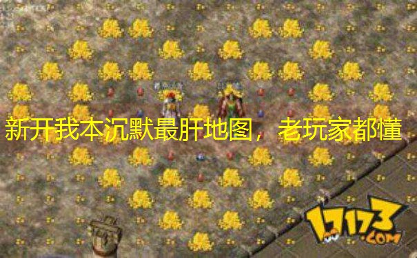 新开我本沉默最肝地图，老玩家都懂