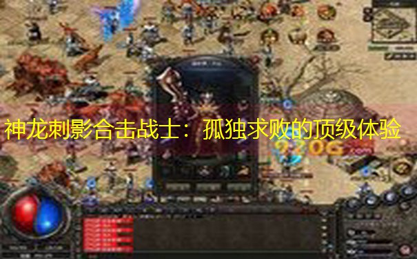神龙刺影合击战士：孤独求败的顶级体验