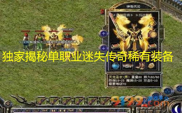 独家揭秘单职业迷失传奇稀有装备