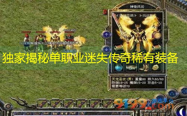 独家揭秘单职业迷失传奇稀有装备
