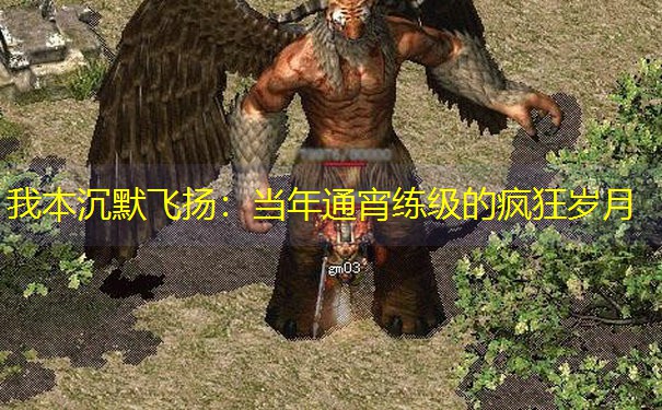 我本沉默飞扬：当年通宵练级的疯狂岁月