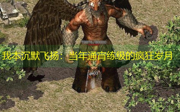 我本沉默飞扬：当年通宵练级的疯狂岁月