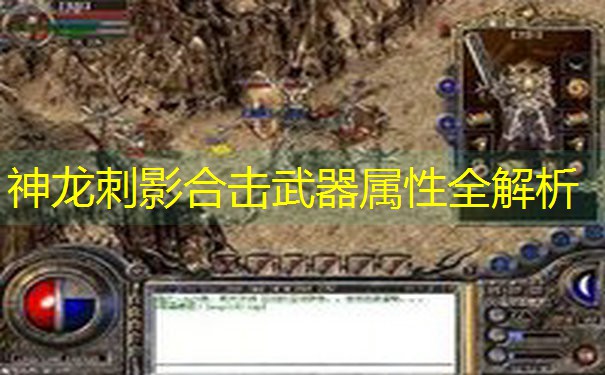 神龙刺影合击武器属性全解析