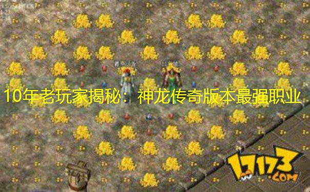 10年老玩家揭秘：神龙传奇版本最强职业