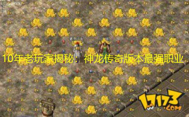 10年老玩家揭秘：神龙传奇版本最强职业