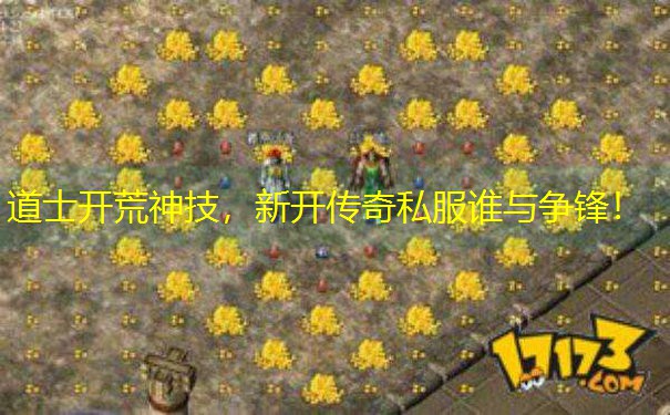 道士开荒神技，新开传奇私服谁与争锋！