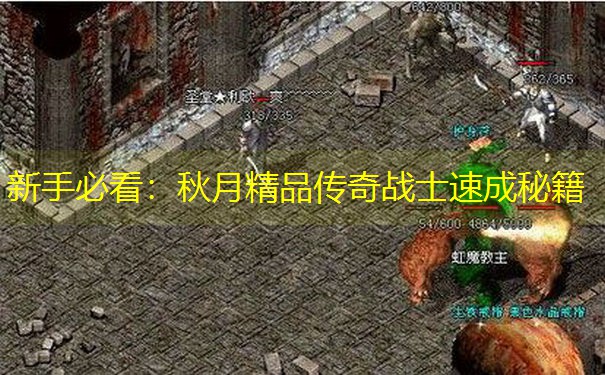 新手必看：秋月精品传奇战士速成秘籍
