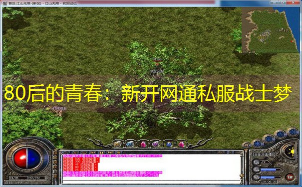 80后的青春：新开网通私服战士梦