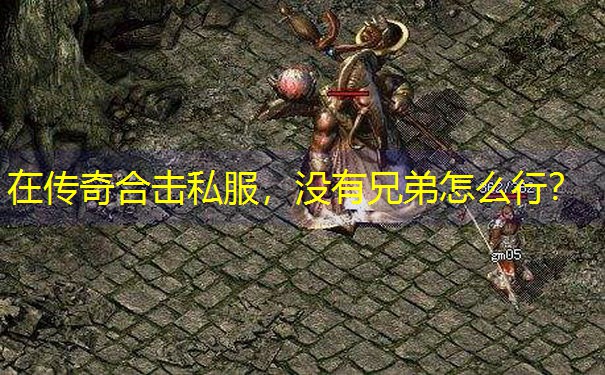 在传奇合击私服，没有兄弟怎么行？