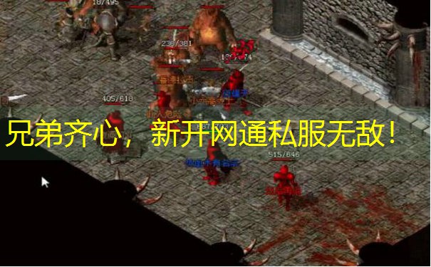 兄弟齐心，新开网通私服无敌！