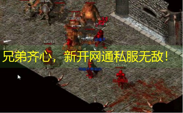 兄弟齐心，新开网通私服无敌！