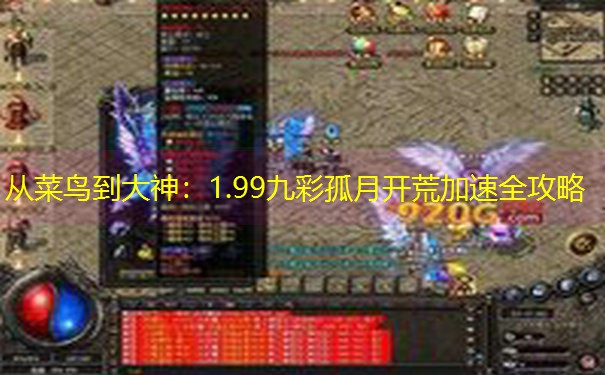 从菜鸟到大神：1.99九彩孤月开荒加速全攻略