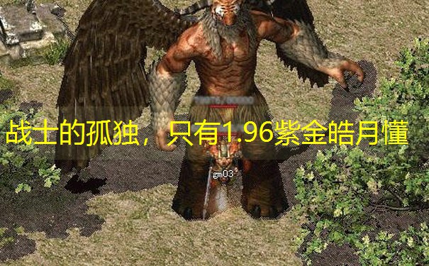战士的孤独，只有1.96紫金皓月懂