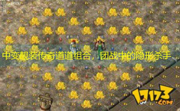 中变靓装传奇道道组合，团战中的隐形杀手