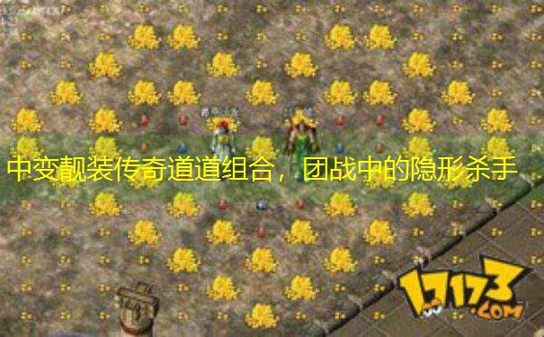 中变靓装传奇道道组合，团战中的隐形杀手