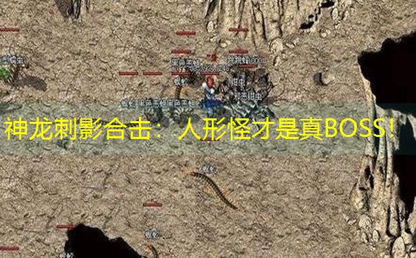 神龙刺影合击：人形怪才是真BOSS！