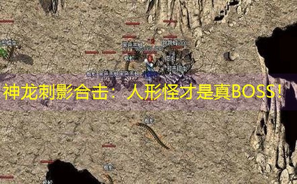 神龙刺影合击：人形怪才是真BOSS！