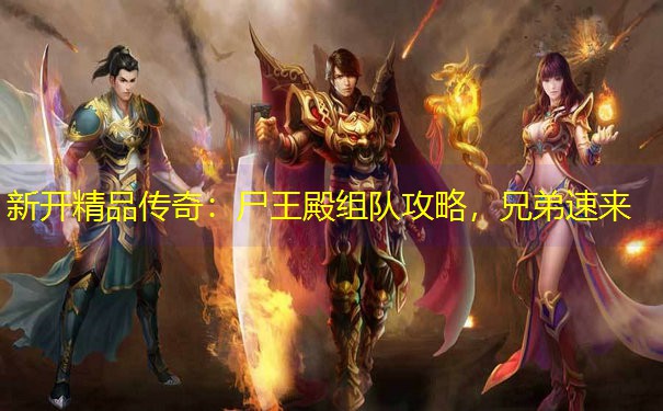 新开精品传奇：尸王殿组队攻略，兄弟速来
