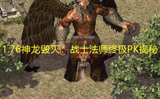 1.76神龙毁灭：战士法师终极PK揭秘