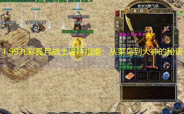 1.99九彩孤月战士进阶指南：从菜鸟到大神的秘诀