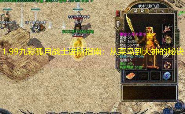 1.99九彩孤月战士进阶指南：从菜鸟到大神的秘诀