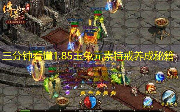 三分钟看懂1.85玉兔元素特戒养成秘籍