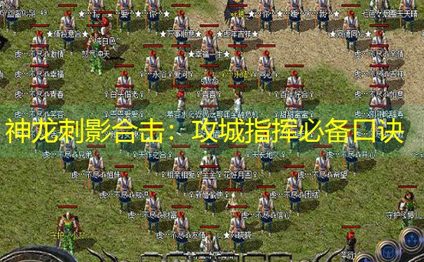 神龙刺影合击：攻城指挥必备口诀