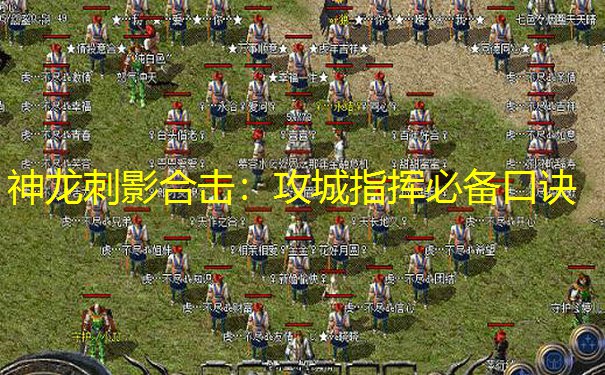 神龙刺影合击：攻城指挥必备口诀