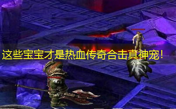 这些宝宝才是热血传奇合击真神宠！