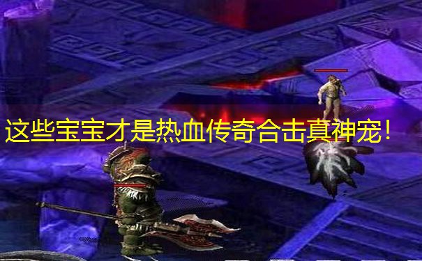这些宝宝才是热血传奇合击真神宠！