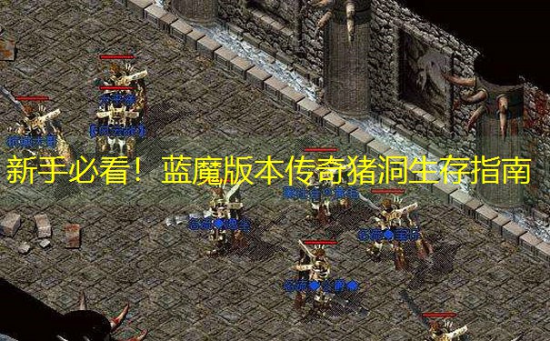新手必看！蓝魔版本传奇猪洞生存指南