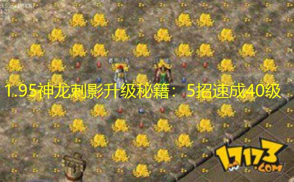 1.95神龙刺影升级秘籍：5招速成40级