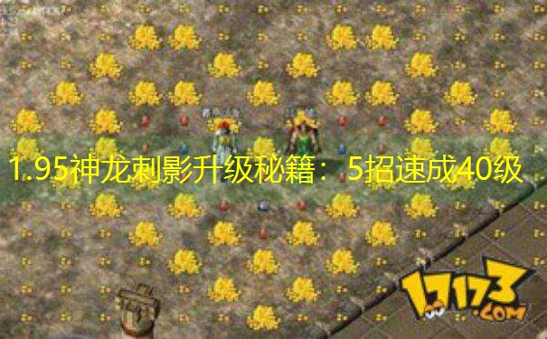 1.95神龙刺影升级秘籍：5招速成40级