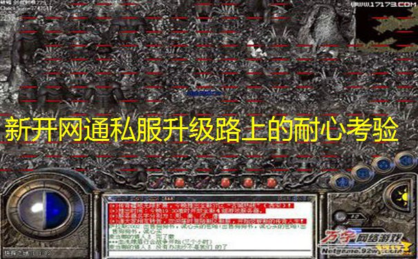新开网通私服升级路上的耐心考验