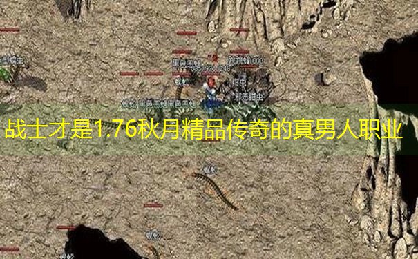 战士才是1.76秋月精品传奇的真男人职业