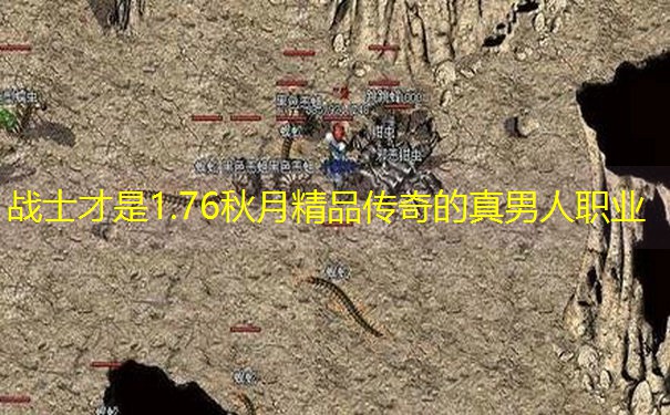 战士才是1.76秋月精品传奇的真男人职业