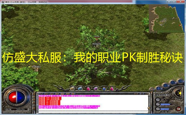 仿盛大私服：我的职业PK制胜秘诀