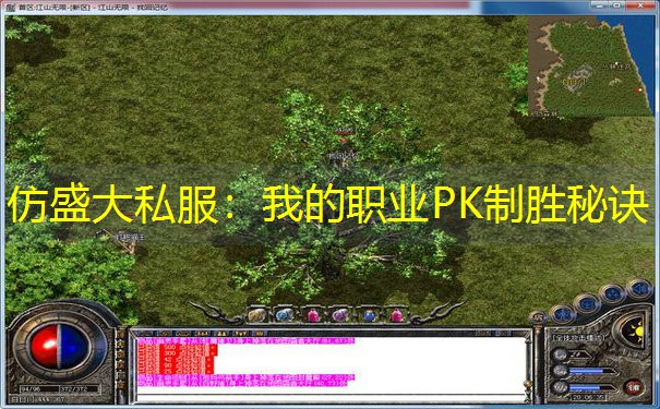 仿盛大私服：我的职业PK制胜秘诀