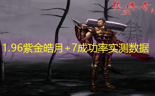 1.96紫金皓月+7成功率实测数据
